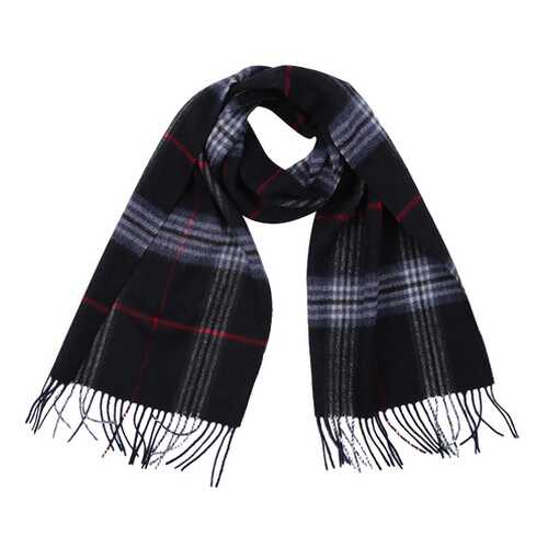 Шарф мужской Leo Ventoni BQ2343-8 синий в Black Star Wear
