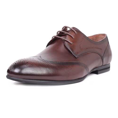 Туфли мужские Pierre Cardin 710017789 коричневые 45 RU в Black Star Wear