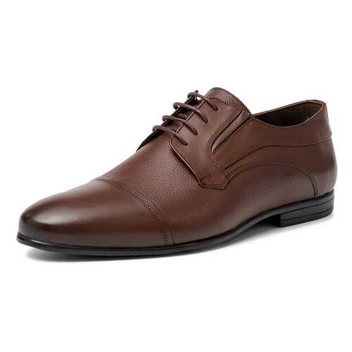 Туфли мужские Pierre Cardin TR-RA-K22 коричневые 43 RU в Black Star Wear