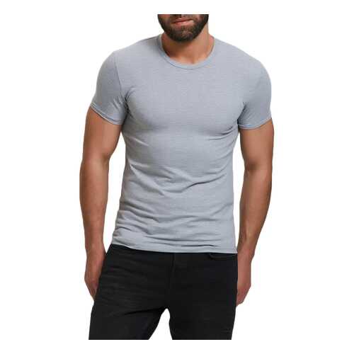 Футболка мужская Envy Lab FR01/СЕРая серая 4XL в Black Star Wear