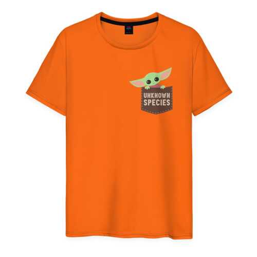 Футболка мужская ВсеМайки 2147277 оранжевая XS в Black Star Wear