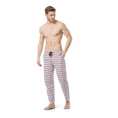 Брюки мужские Cacharel 2173 бордовые L в Black Star Wear