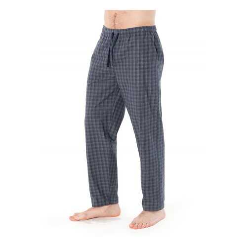 Брюки мужские Cacharel 2175-1 серые M в Black Star Wear