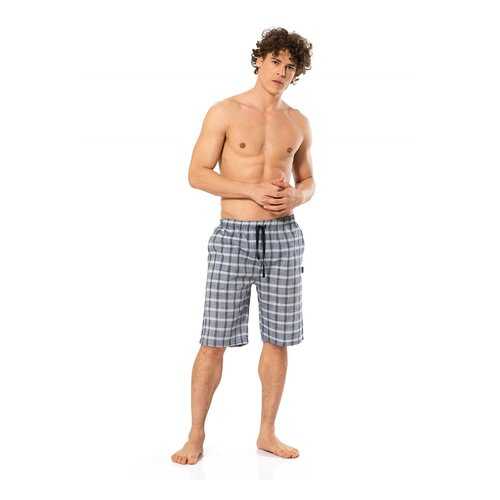 Брюки мужские Cacharel 2183 синие M в Black Star Wear