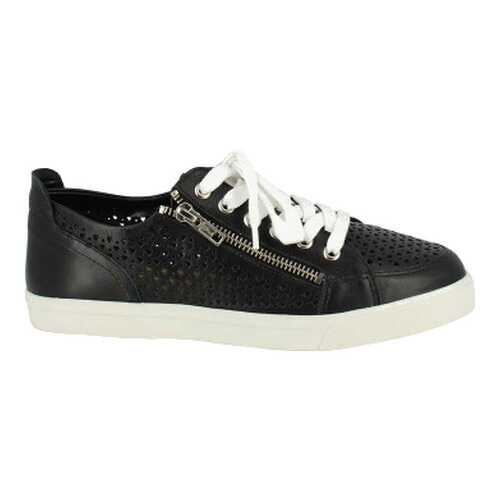 Кеды женские Just Couture черные в Black Star Wear